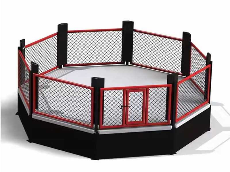 একটি MMA অষ্টভুজ ভিতরে আসলে কি?